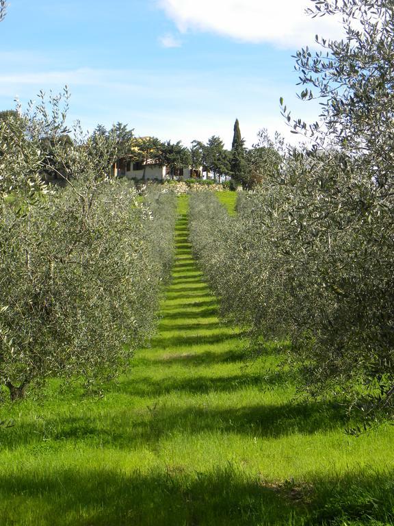 Agriristoro Podere S. Andrea Massa Marittima Exterior foto
