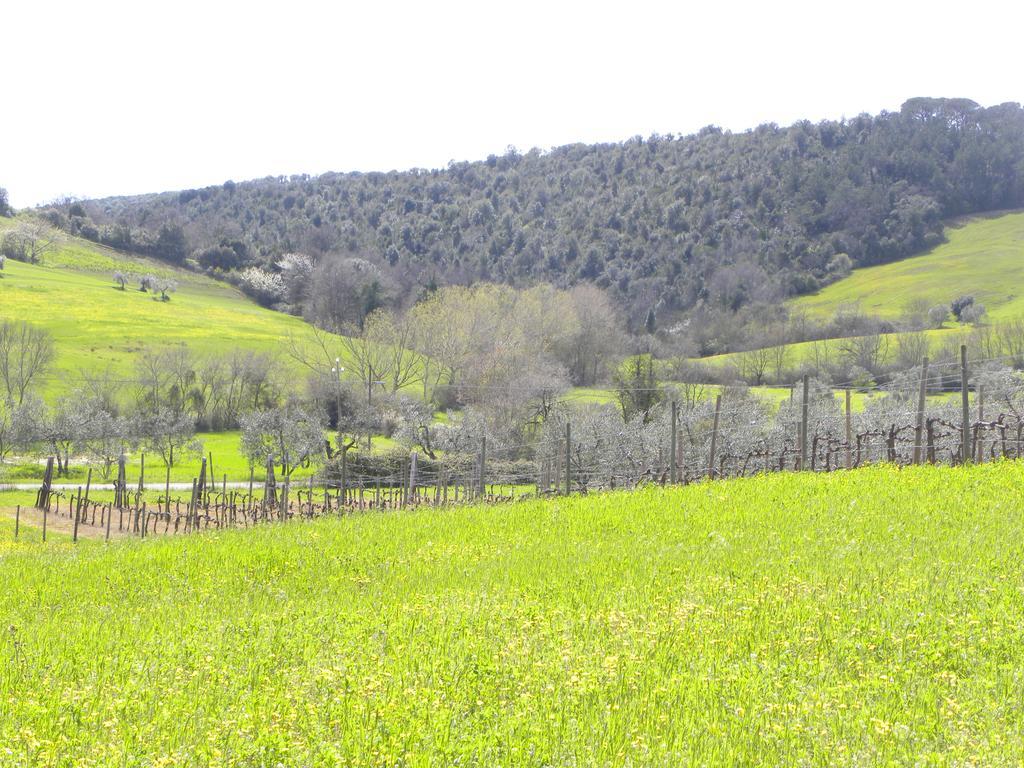 Agriristoro Podere S. Andrea Massa Marittima Exterior foto
